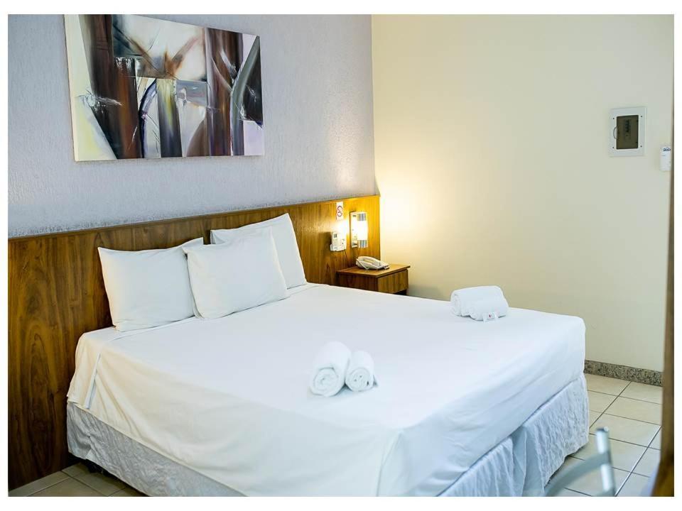 Steel Valley Hotel Ipatinga Eksteriør billede